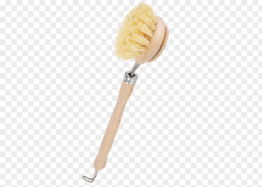 Eo Brush PNG