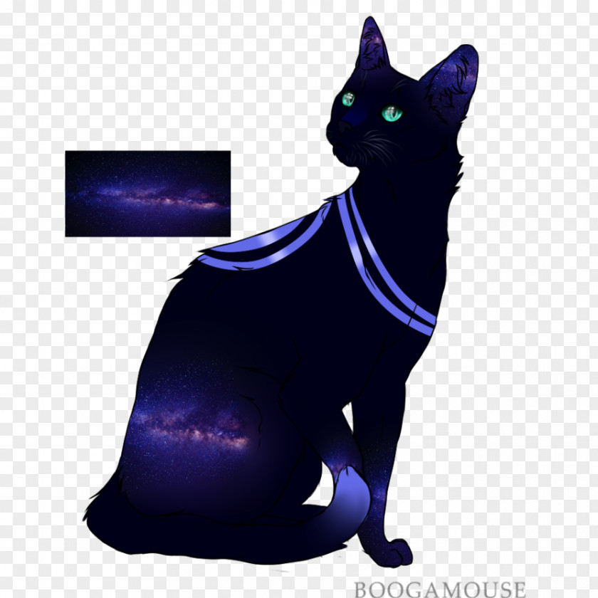Galaxy Cat Whiskers Domestic Short-haired Snout Tail PNG