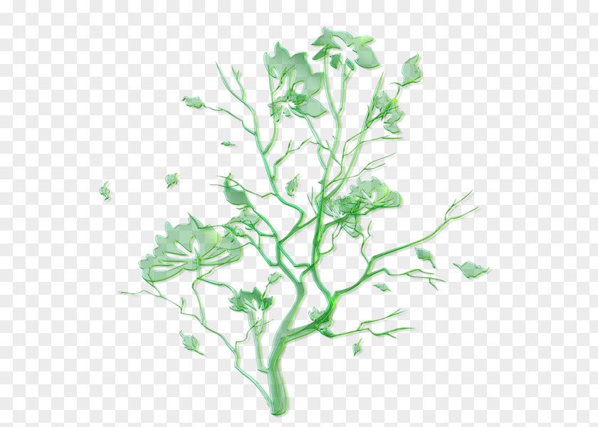 Green Floral Ornament Clip Art PNG