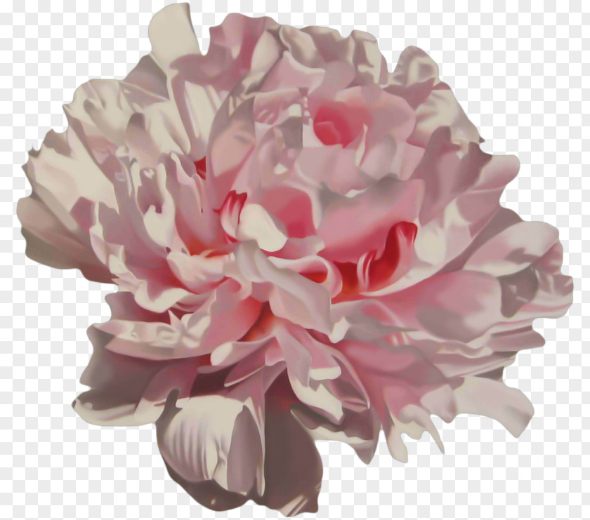Hand-painted Peony Pink Moutan PNG