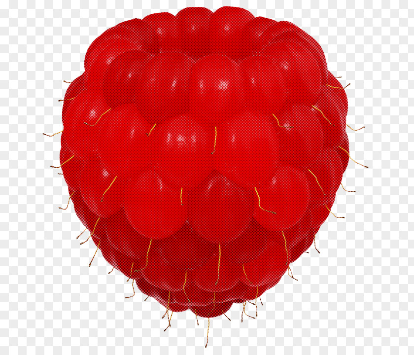 Red Balloon Berry Fruit Currant PNG