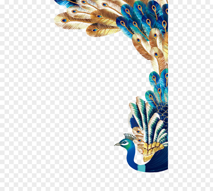 Vector Peacock Peafowl Euclidean Feather PNG