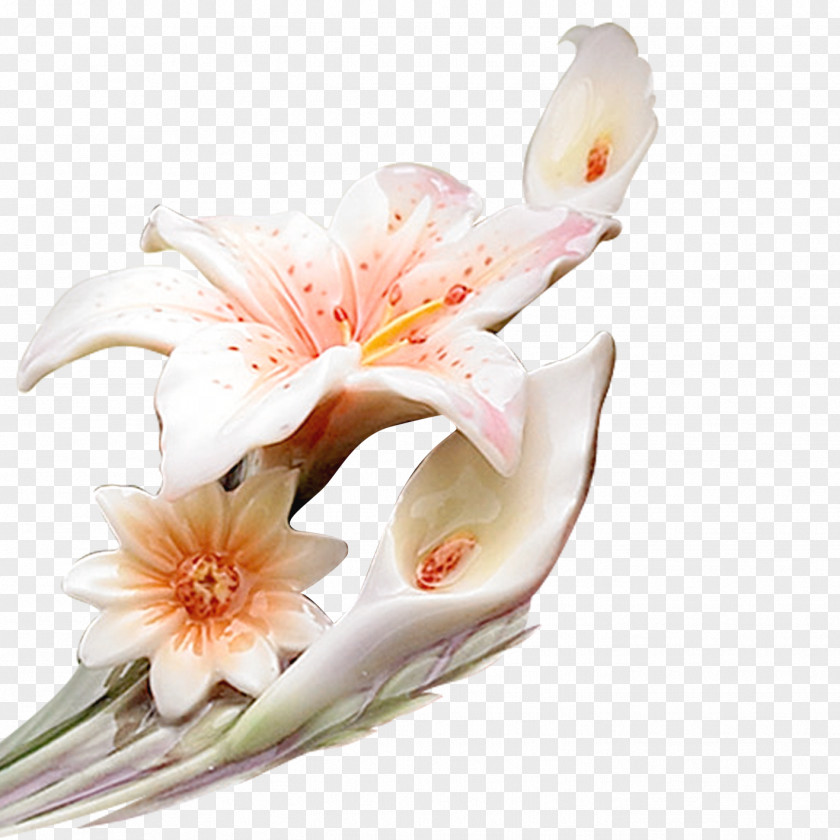 Bouquet Nosegay Flower Arum-lily Icon PNG