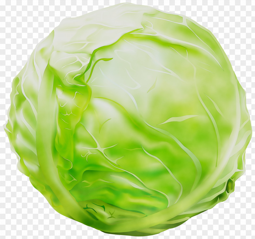 Cabbage Greens PNG