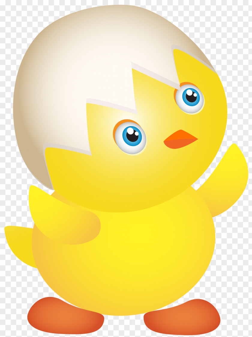 Easter Chicken Transparent Clip Art Image Duck PNG