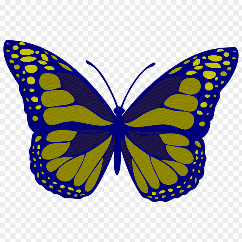 Monarch Butterfly PNG