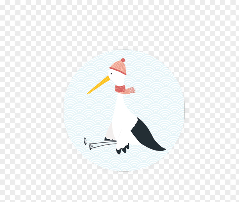 Supercigogne Beak Water Bird PNG