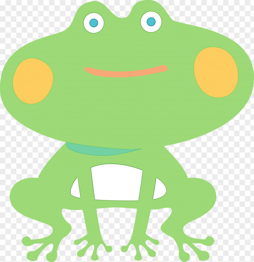 True Frog Frogs Toad Tree Cartoon PNG