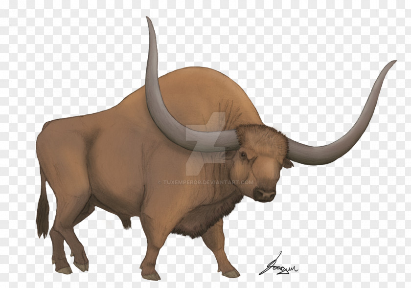 Bison Latifrons Cattle American Horn Animal PNG