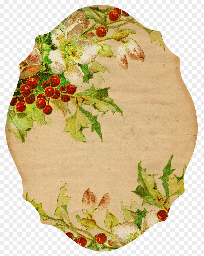 Bulletin Board Holly Food Plate Design Gift Tags & Labels PNG