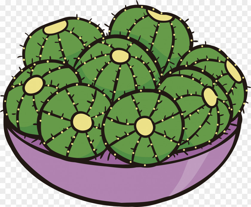 Cactus Vector Plant Download PNG