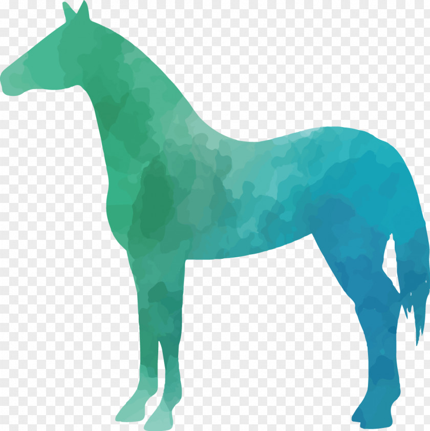 Colorful Animal Silhouettes Set Mule Horse Pony Silhouette PNG