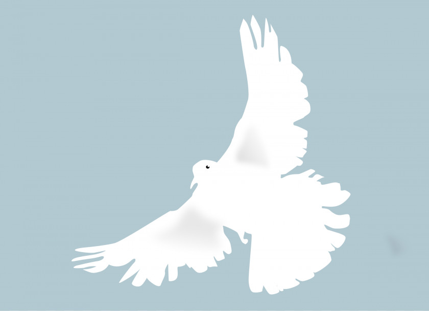 Crave Cliparts Columbidae Doves As Symbols Clip Art PNG