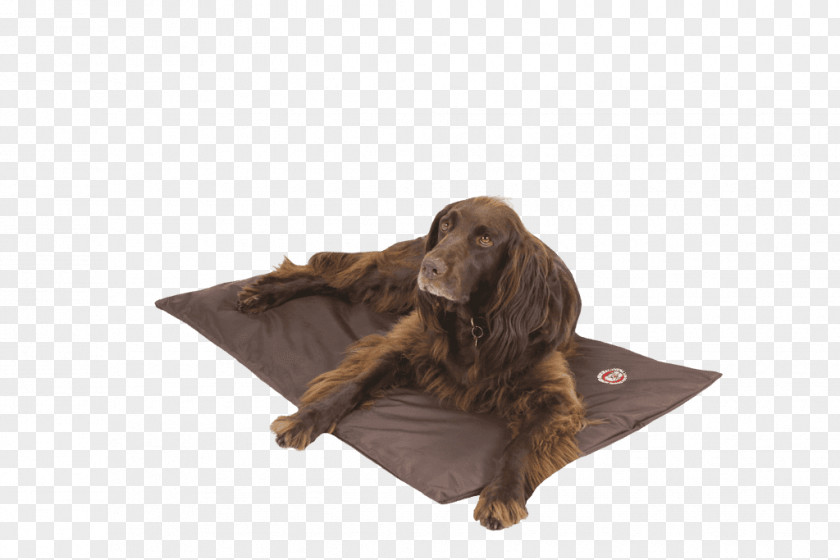 Dog Houses Duvet Mattress Kennel PNG