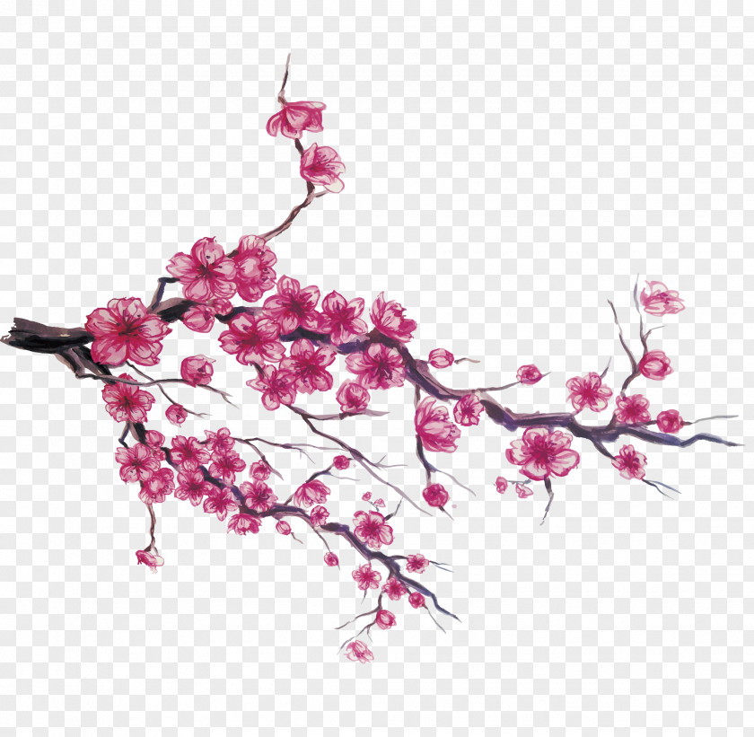 Hand-painted Japanese Cherry Japan Blossom Download PNG