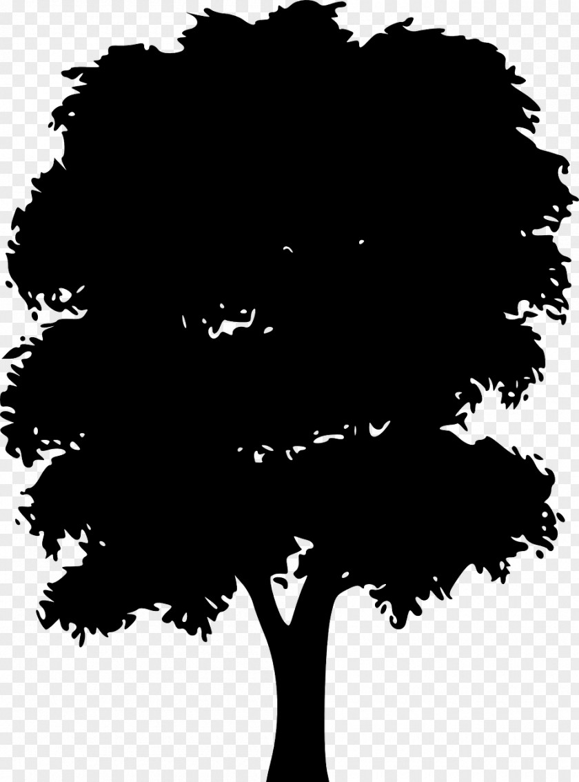 Old World Sycomore Concert Vector Graphics Silhouette Clip Art Tree PNG