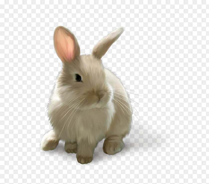Rabbit Computer Graphics Clip Art PNG