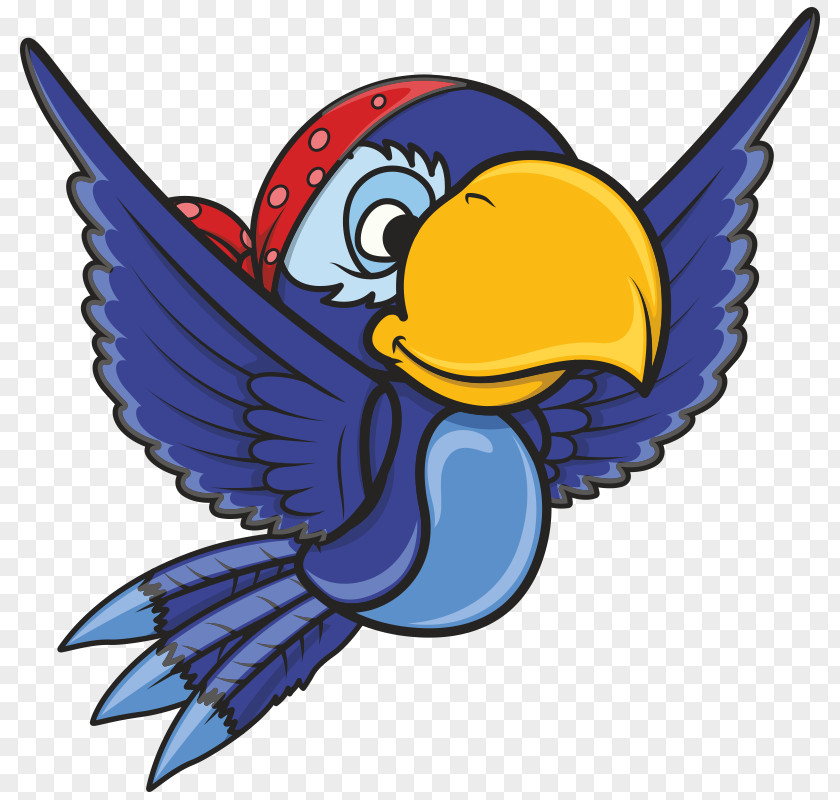 Bird Macaw Drawing Clip Art PNG