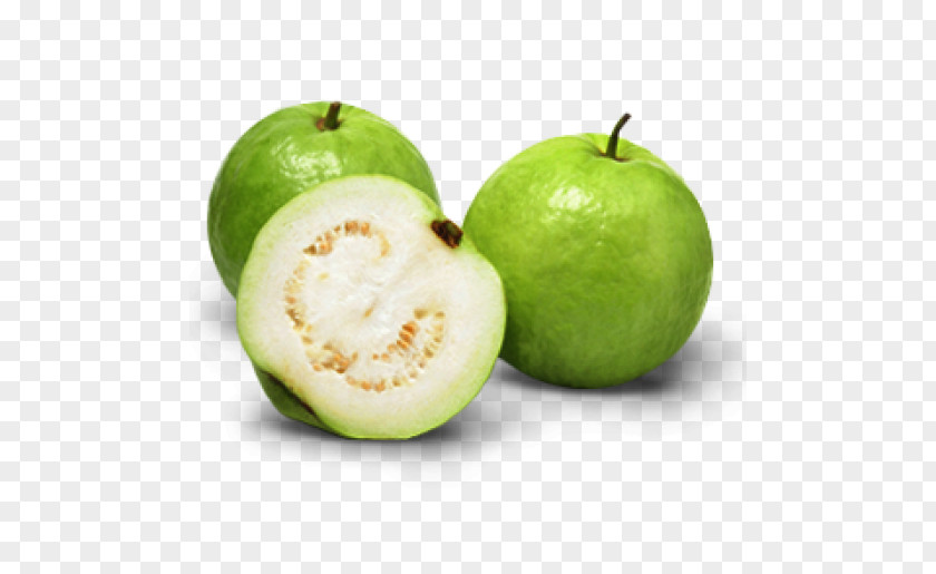 Common Guava Tropical Fruit Juice Vesicles PNG