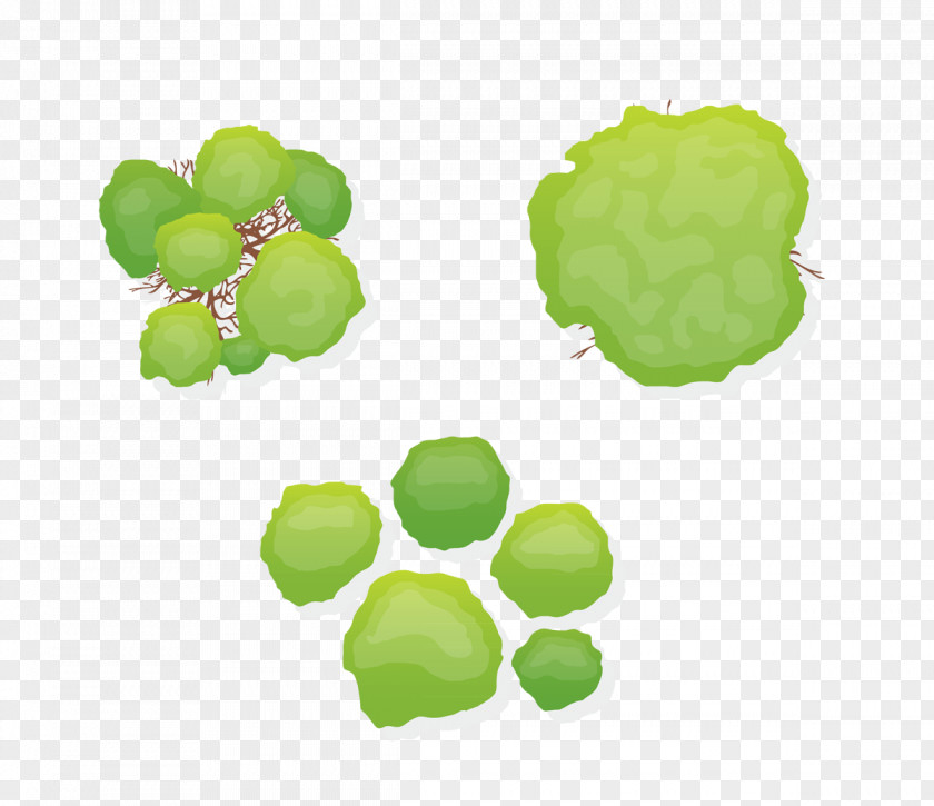 Green Jungle Tree Shrub Royalty-free Clip Art PNG