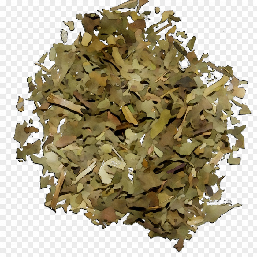 Green Tea Herbal Production In Sri Lanka Ceylon PNG