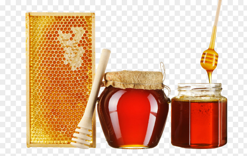 Honey Bee Extractor Food Honeycomb PNG