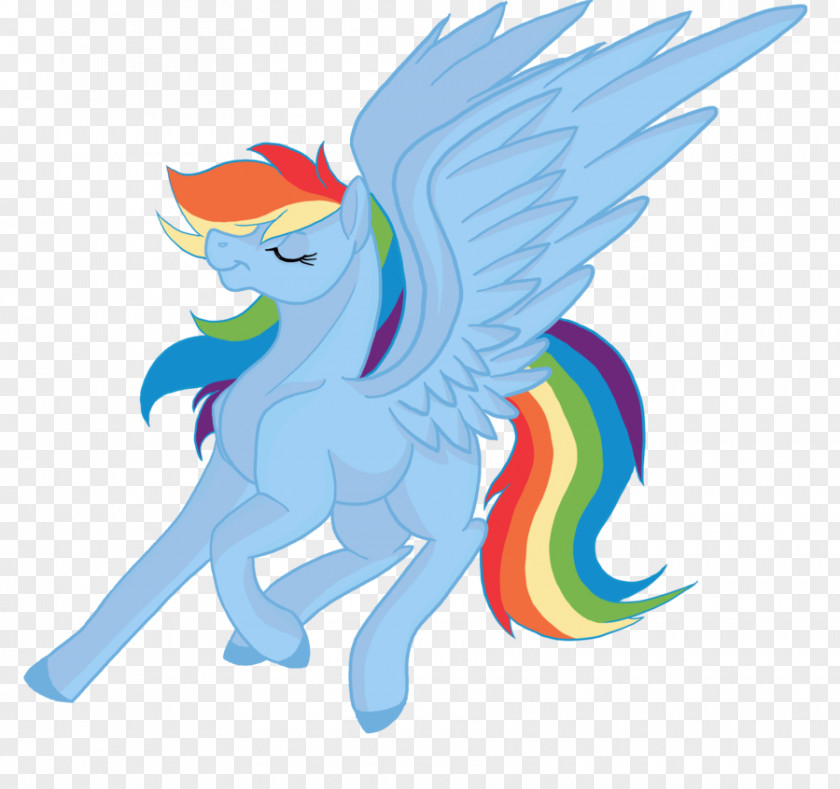My Little Pony Rainbow Dash Adult Horse PNG