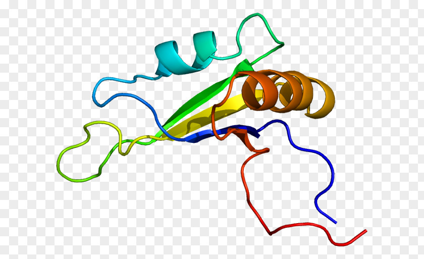 Rna Genetic Code Table Clip Art Product Design Line Organism PNG