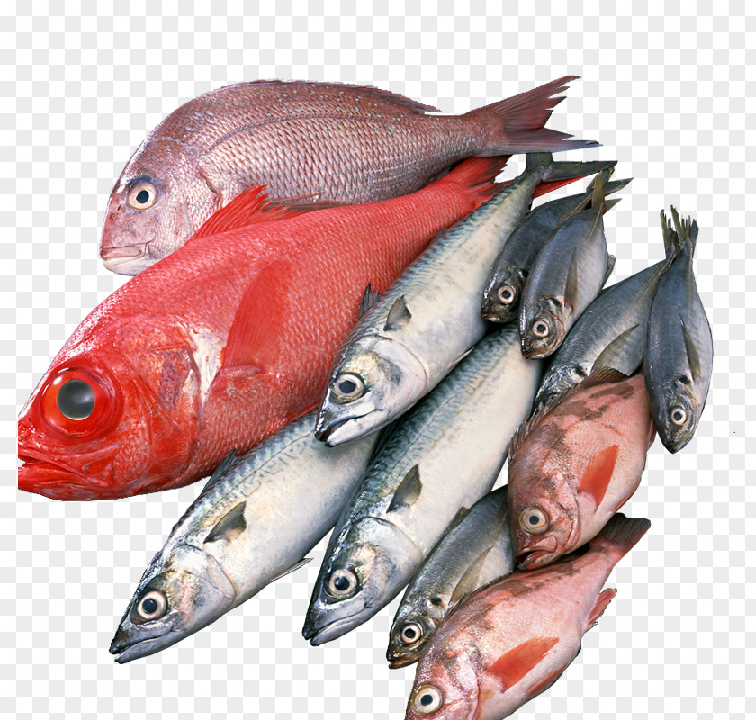 A Bunch Of Fish Japanese Cuisine Seafood PNG