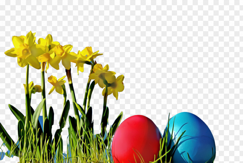 Easter Egg PNG