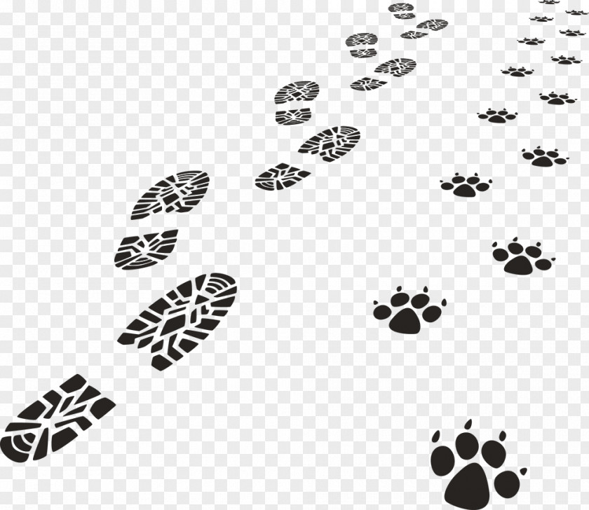 Footprint Paw Animal Track Royalty-free PNG