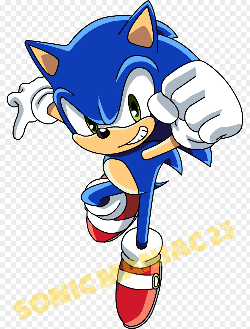 Gambar Sonic Racing Colors Shadow The Hedgehog SegaSonic 3 X PNG