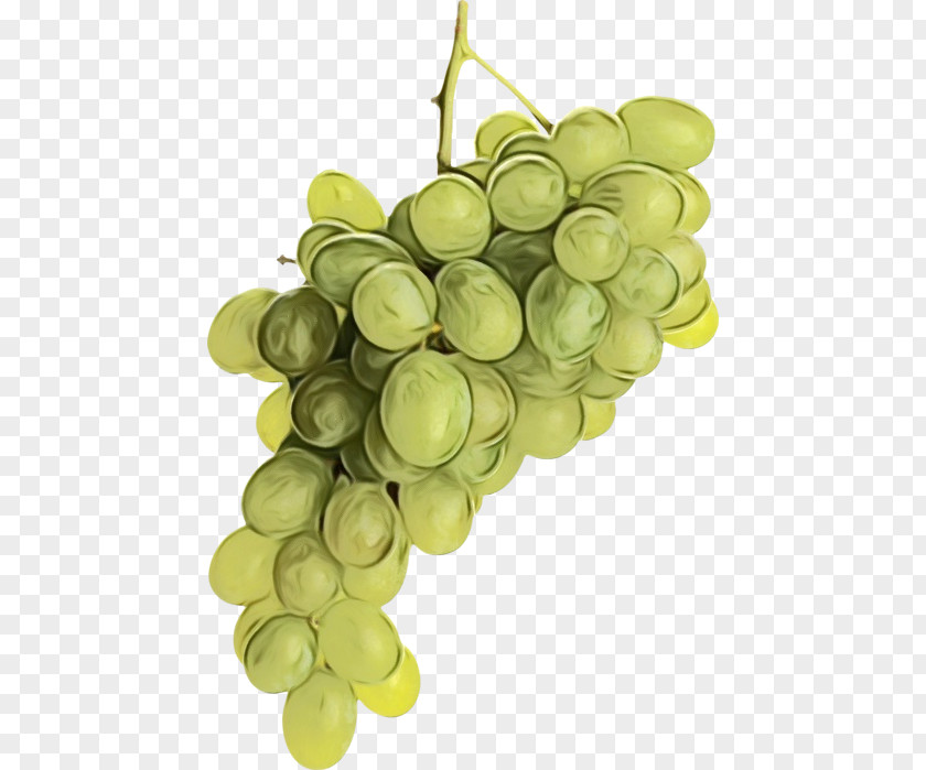 Grape Seed Oil Flower Cartoon PNG