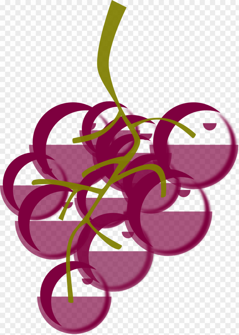 Grape Vineyard Vines Clip Art PNG