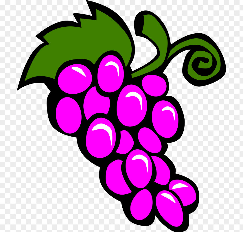 Grapevine Clipart Common Grape Vine Wine Clip Art PNG