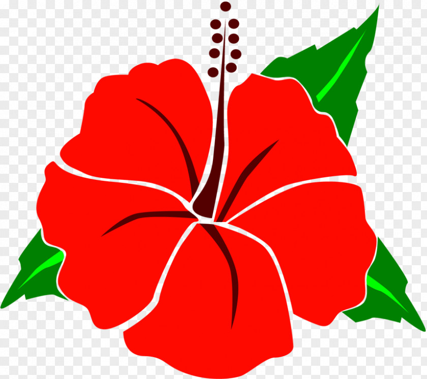 Leaf Rosemallows Floral Design Petal Plant Stem Clip Art PNG