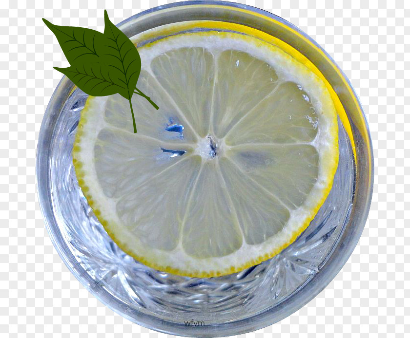 Lemon Lime Citric Acid Water PNG
