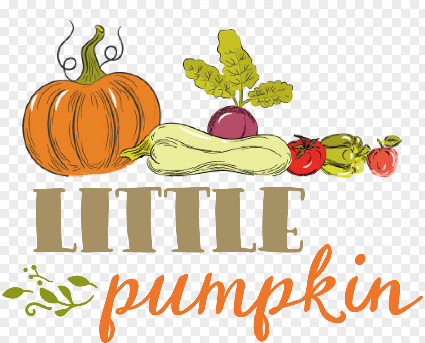 Little Pumpkin Thanksgiving Autumn PNG