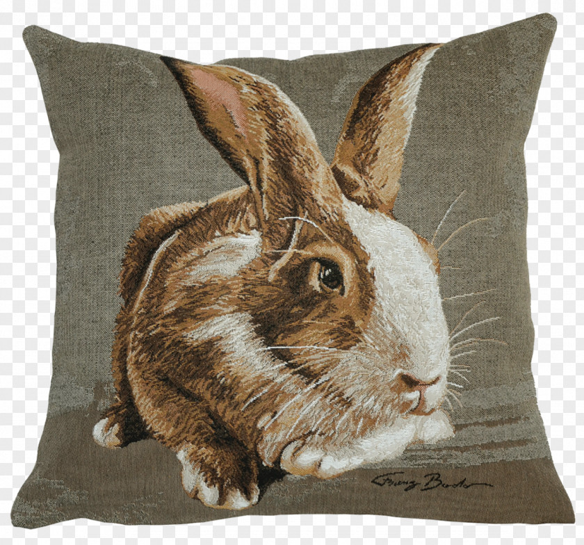 Pillow Cushion Domestic Rabbit Throw Pillows Slipcover PNG