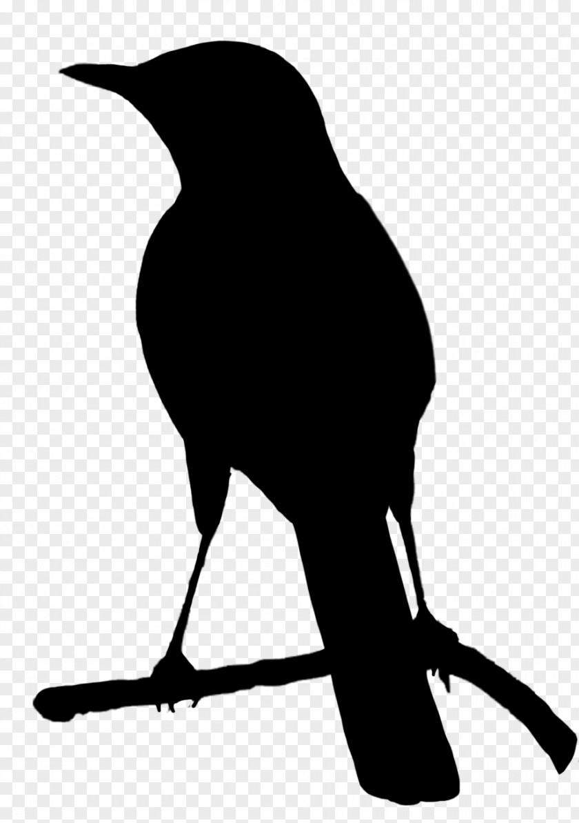 Silhouettes Bird Crows Parrot Silhouette Clip Art PNG