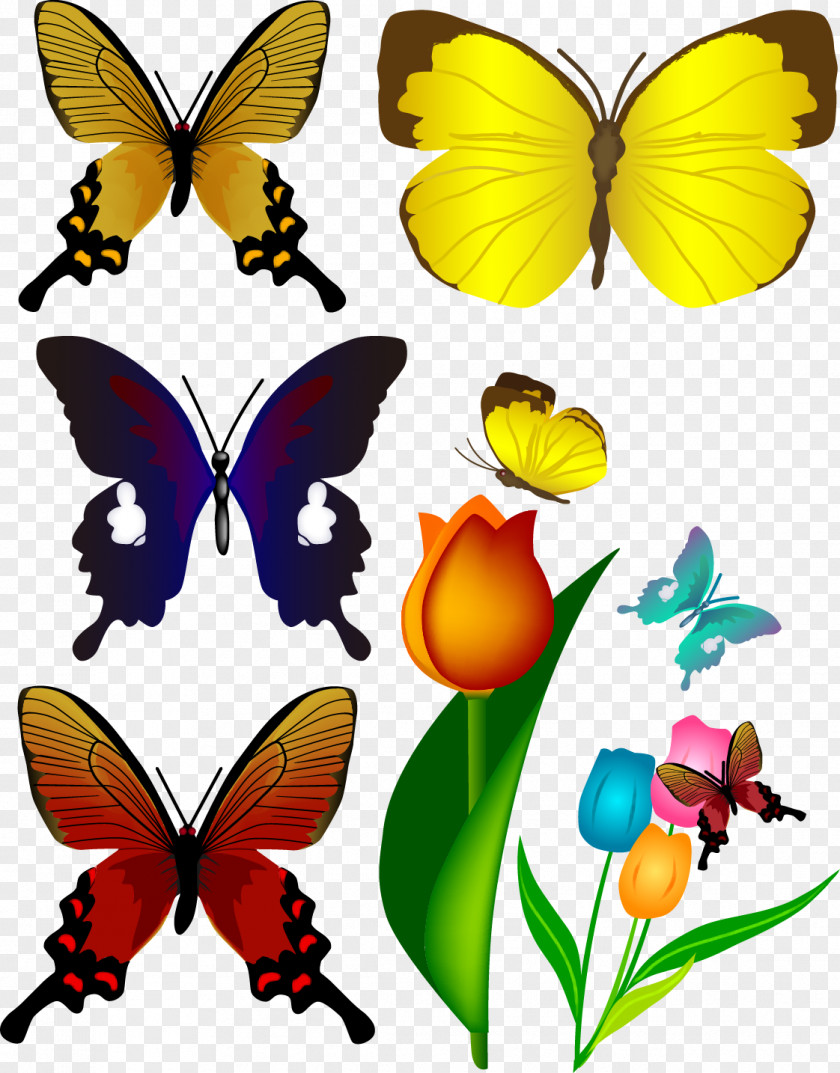 Various Color Butterflies Vector Material Butterfly Euclidean Illustration PNG