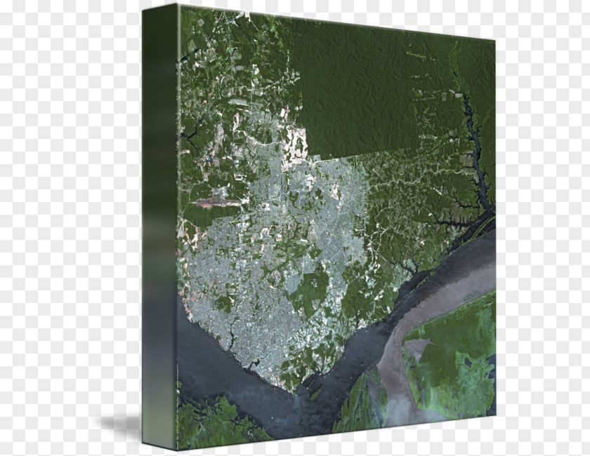 Water Manaus Biome Picture Frames Map PNG