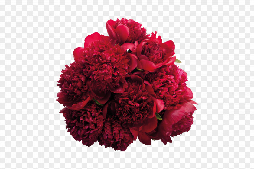 Bouquet Of Red Flowers Peony Flower Burgundy Pink PNG