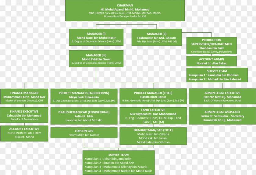 Business Organizational Structure Chart Surveyor PNG