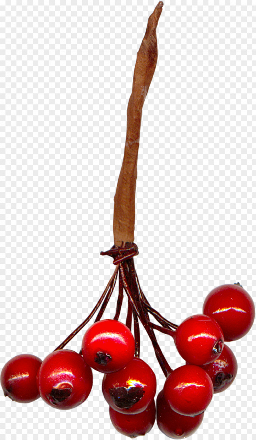 Cherry Material Clip Art PNG