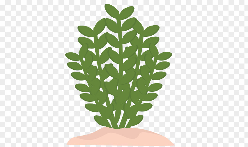 Green Grass Plants Light PNG