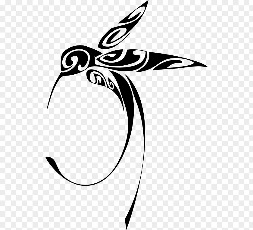 Karen Arnold Hummingbird Line Art Clip PNG