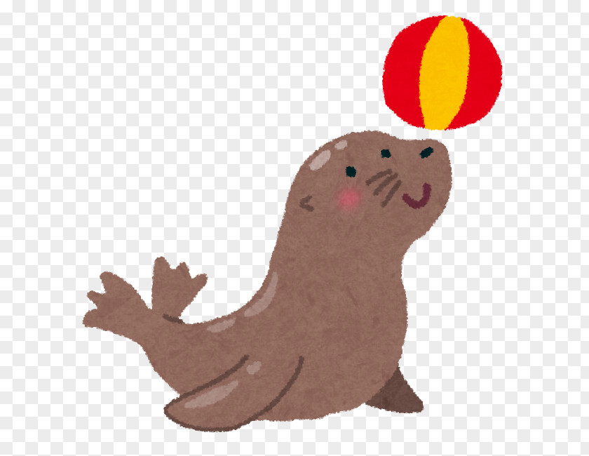 Lion Sea Earless Seal いらすとや PNG