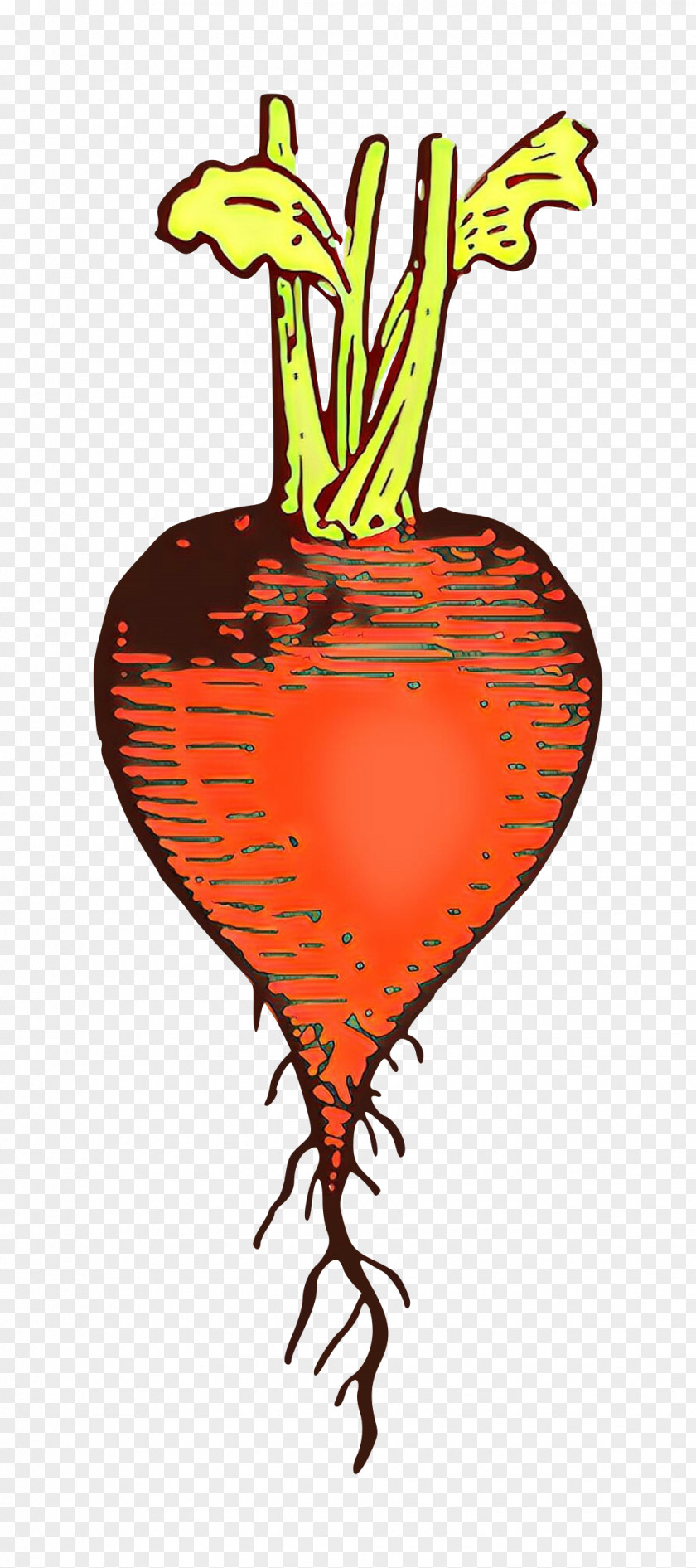 Plant Heart Carrot Beetroot Root Vegetable PNG