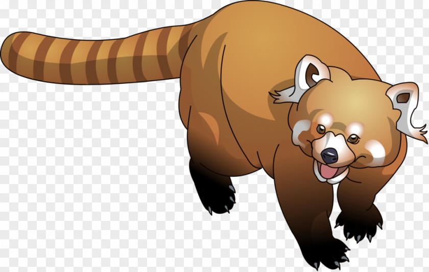 Raccoon Material Red Panda Bear Cartoon PNG